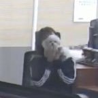 미친 ㅠㅠㅠ 내남친 강아지 개귀<b>엽지</b>ㅠㅠㅠ