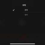 넷플로 한국어 <b>자막</b> 어케킴