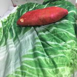 나 귀여운 침구세트 샀어