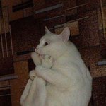 [모두드루와] 까<b>글</b> 선택적 엔터가는