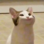 [모두드루와] 너네 <b>지윤</b>이라는 애 암?????ㄹㅇㅋㅋ