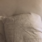 [19] 진지해 나 진짜 <b>탈모</b>같음 ㅅㅂ