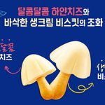 [NCT즌] 이거 <b>완전</b> 김정우