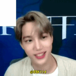 카이는 팬들한테 너무 다정한 거 같아