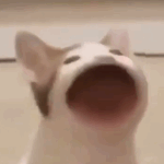 [댓글부탁해] 내남친 서강준+<b>문빈</b>닯음