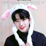 [엔하이픈] <b>백구</b>인가 토끼인가