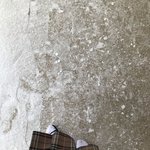__ 아침에 <b>실내</b>화 신고왔는데 참교육당함