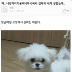 [댓글부탁해] 싫어하는여자앤가 한테 <b>디스랩</b>썼다는 글 뭐였지ㅜㅜ