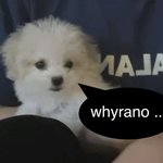 [NCT즌] 케타 펀치는 대체 언제 보내줄 생각일까?