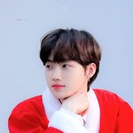 [댓글부탁해] >>>예비고2 영어 모고 3등급<<<