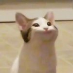 <b>민증</b> 아직도 안만든 02있냐