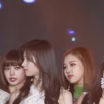 로제 vs <b>사나</b>