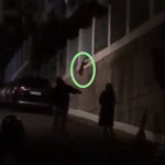 <b>목줄</b> 찬 강아지 '빙빙' 돌린 남녀…영상 보니 '충격'