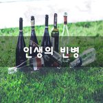 [이것좀봐줘] 인생의 빈병~