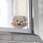 [드루와] 시흥사는사람