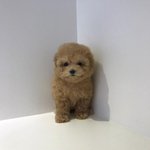 [댓글부탁해] 입시끝낸 02 <b>책</b> <b>추천</b>해줄사람!!