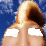 [댓글부탁해] 내 코는 어떡해야함??
