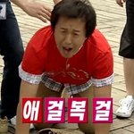 내 <b>학창</b>시절을 책임지던 돌들이 이제