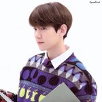 백현 이거 왜이렇게 <b>보송</b>하냐