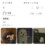 [NCT] 우리학교 커뮤에 <b>대갈</b>쓰 등장했어