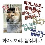 시바 아무도 댓글 안 달아<b>주네</b>