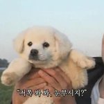 나 <b>홍설</b> 손민수 성공했다 질문 받을래