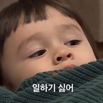 [드루와] 와 근데 대학 예비