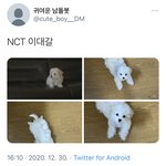 [NCT] 귀여운 남돌봇이 <b>대갈</b>이 올림 ㅋㅋㅋㅋㅋ