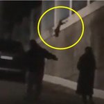 [이것좀봐줘] 풍차 돌아가듯 공중에 빙빙…강아지 학대 영상 '논란'