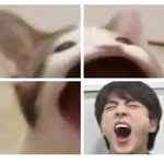 [방탄소년단] 진짜 클라스가 다르네