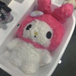 다들 예민해서 초성만 올라오면 <b>호다</b>닥!