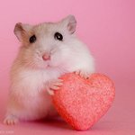 판녀들아 우리 <b>새해</b>에도 자살하지 말고 살자