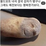 [댓글부탁해] ㅈㄴ급해 대학 등록금 늦게 내면 <b>입학</b> 취소돼?