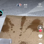 아__ 틱톡 이<b>지랄</b>하는 거 ㅈㄴ웃기네