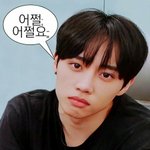 <b>트로트</b> 땜에 갑분싸 어쩔어쩔요,;;;;