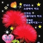[방탄소년단] 이삐들 <b>사랑해</b>