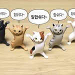 새해 첫곡이 데이식스 cogratulations이라니