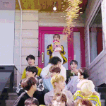 [세븐틴] <b>판</b><b>캐럿</b>들