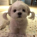 [ㅈㄱㄴ] 내 알바 <b>다음</b>타임<b>사람</b> 존잘인데