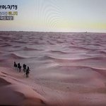 지금 막 사하라<b>사막</b>의 석양 봐써(사진추가)