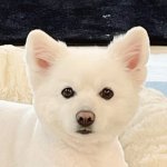 [방탄소년단] 헐 뭐야 모니