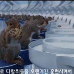 [ㅈㄱㄴ] <b>찰리</b>와 초콜릿공장 다람쥐 있잖아