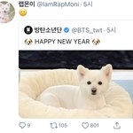 트위터에 랩<b>모니</b> 계정 개귀여움