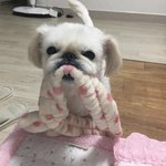 [댓글부탁해] 부모님 용돈 물어본 쓰<b>닌데</b>