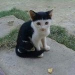 와 슴콘 태연보고 앞머리 자를뻔