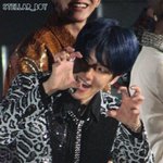 <b>니안</b>에호랑이