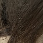 빗자루같은 내 머리 볼사람