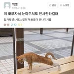 [댓글부탁해] <b>윤사</b> 인강 임정환 ㄷ 이지영