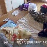 아니 ㅆㅂ 이거 봐봐