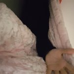 [19] 판녀들아 춥지
